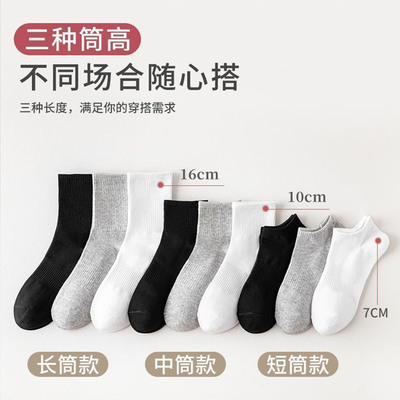 【6双】100%新疆棉纯棉中筒长袜