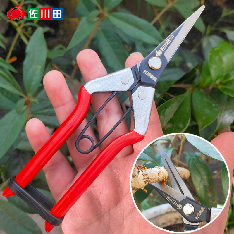 佐川田采果剪稀果剪采摘