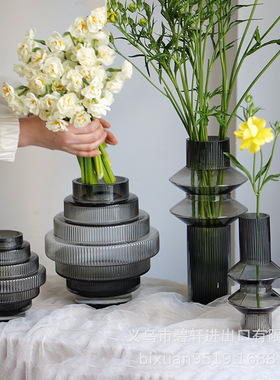 碧轩轻奢玻璃花瓶摆件客厅插花透明玻璃家居装饰品