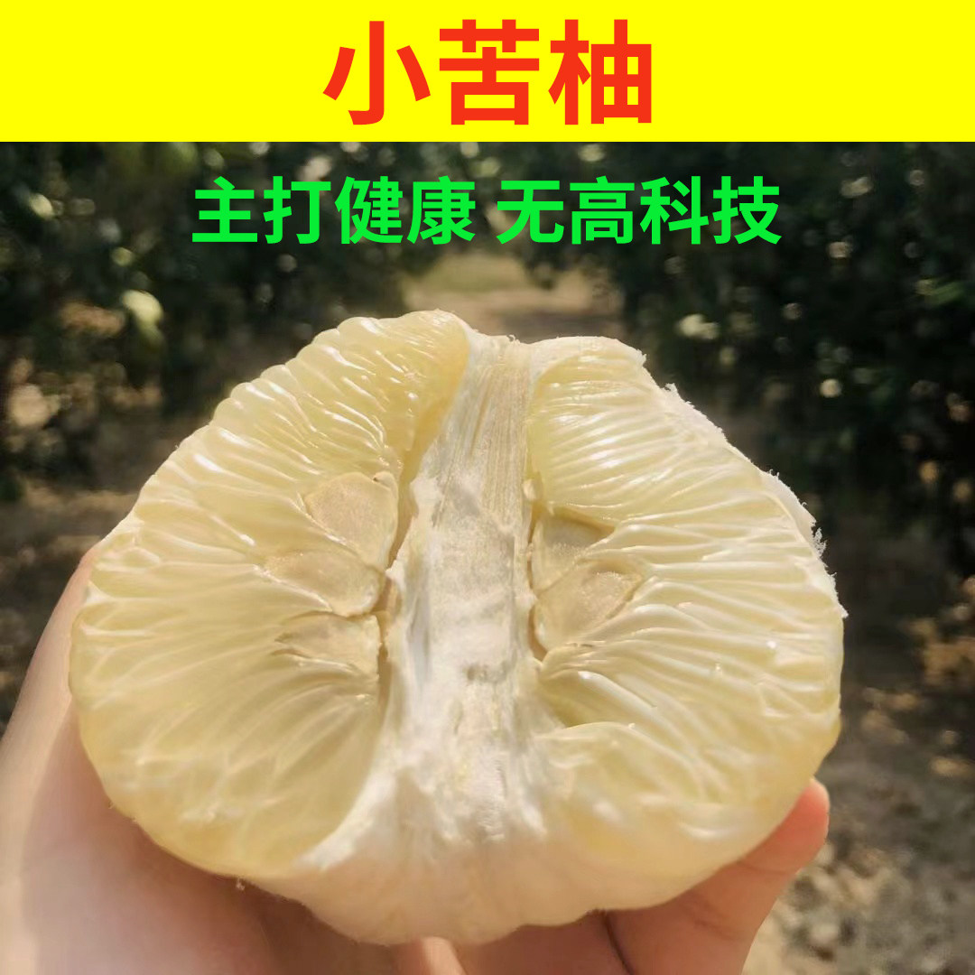 湖南怀化小苦柚药柚安江雪峰柚冰糖柚子孕妇新鲜低糖水果清甜多汁