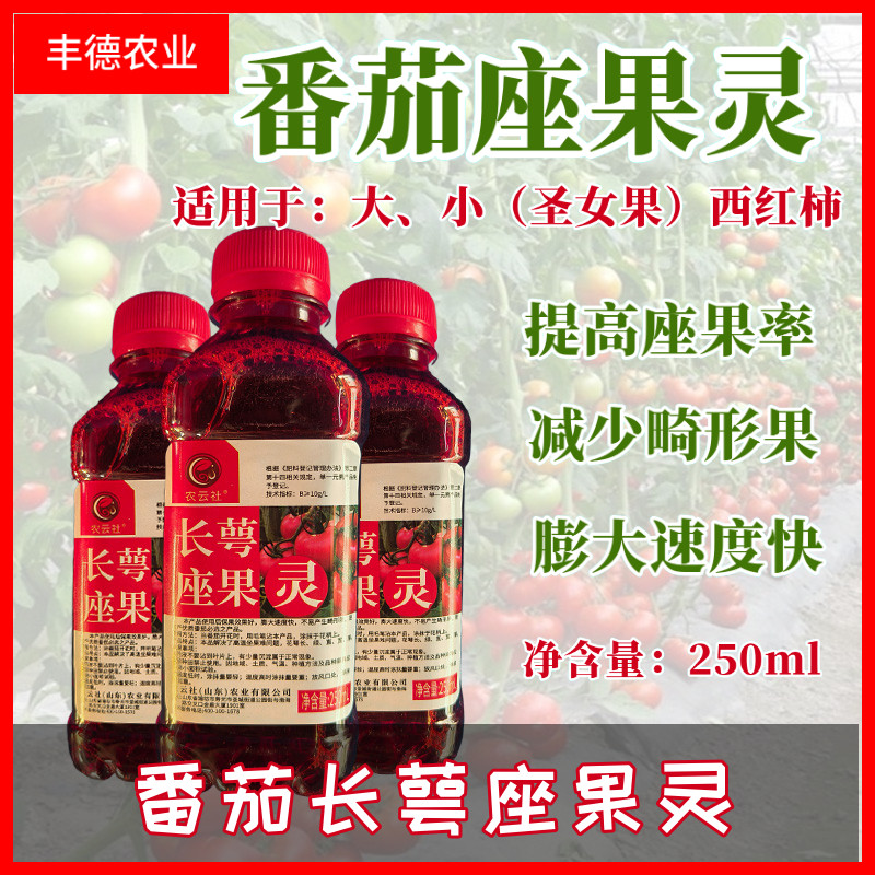 番茄座果灵番茄点花药剂大小西红柿长萼坐果灵圣女果专用授粉药