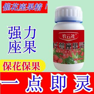 西红柿专用长萼坐果番茄膨果快免掉穗番茄新款原装老牌子