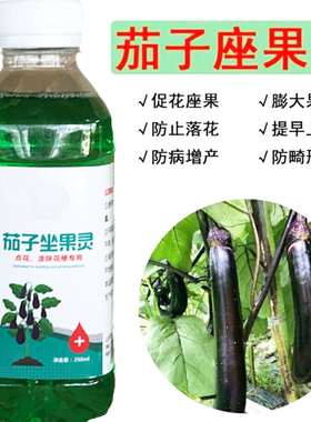 茄子圆茄长茄罐茄涂抹花梗座果灵专用授粉药点花药保花保果坐果灵