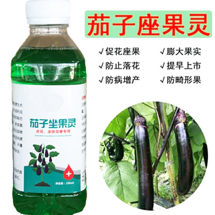茄子圆茄长茄罐茄涂抹花梗座果灵专用授粉药点花药保花保果坐果灵
