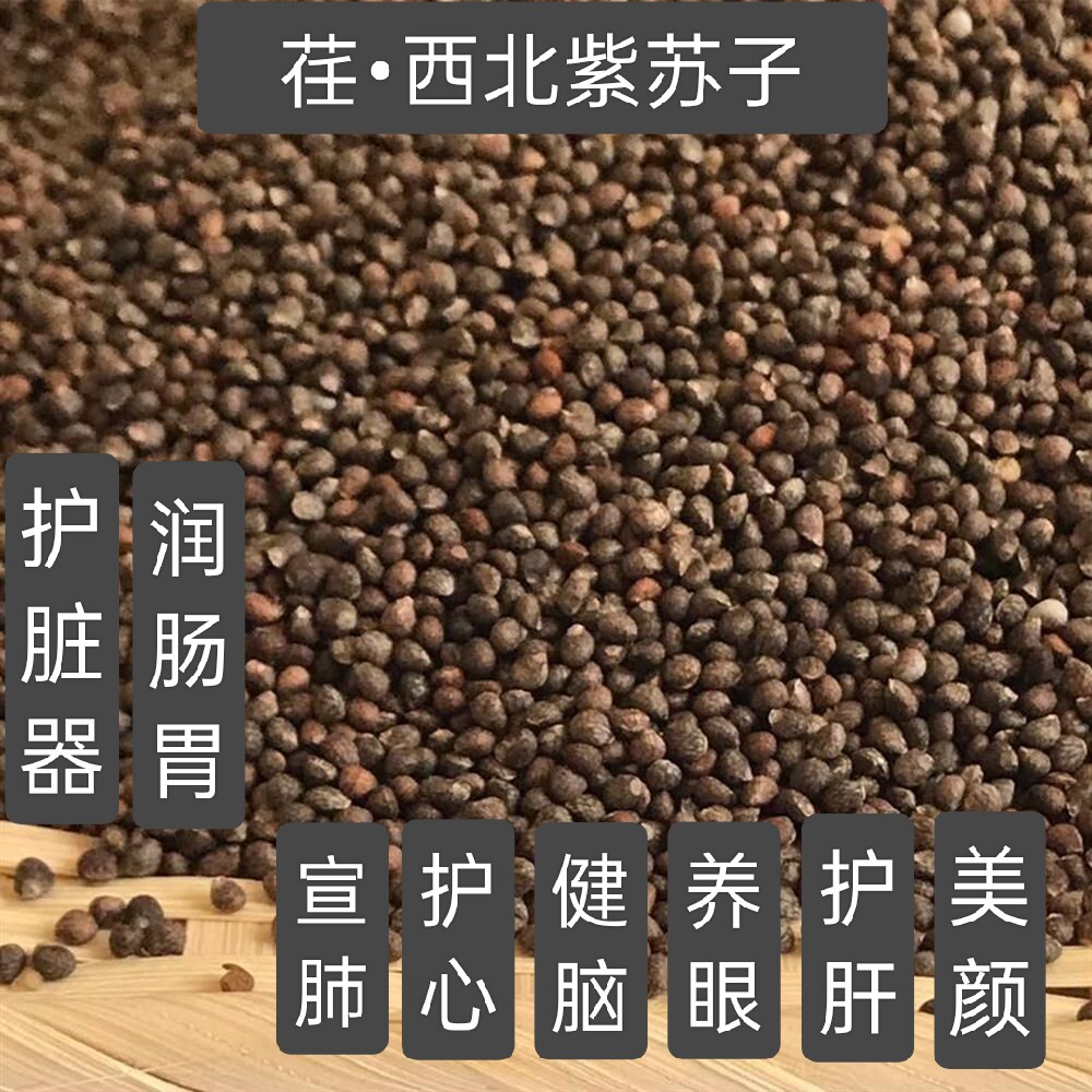 荏西北紫苏子1/斤散装黄土山地种植引子食用养生可种西北原生荏子