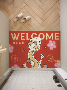 一拾一 龙年寓意好皮革入户地垫免洗可擦可裁剪玄关进门脚垫地毯