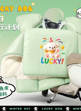 适用九号电动车冬季挡风被A30B30C40C90N70cN80cE90cE100防寒罩