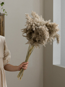 天然野芦苇仙花搅打干花束文学装 饰品婚礼道具 饰客厅民宿装