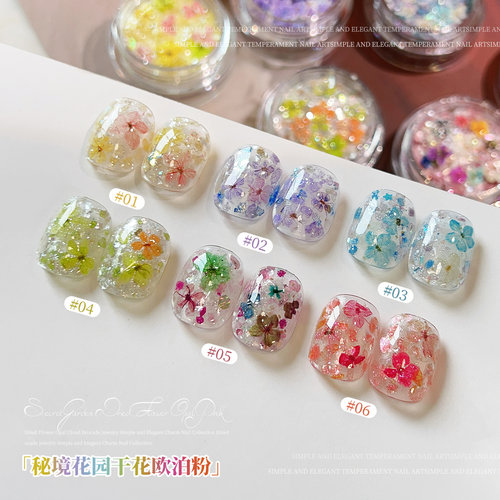 网红秘境花园干花欧泊粉美甲饰品偏光闪粉梦幻云锦粉指甲亮片装饰