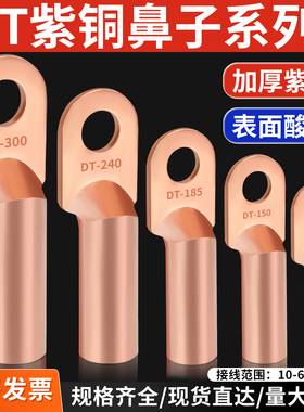 国标DT铜鼻子接线端线耳16/35/50/70/95/120/150/185/240/300平方