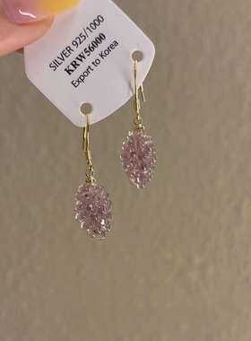 清冷感紫色葡萄串珠耳环女2025新款爆款小众设计独特漂亮耳饰耳钩
