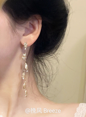S925银树叶长款气质流苏耳环2025新款爆款轻奢高级感小众独特耳钉