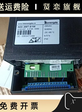 火焰探头，火焰探测器UVS1,点火控制器KES 258T-5/1W