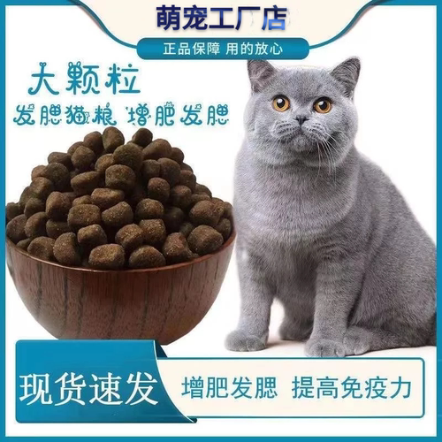 康乐成猫幼猫猫粮大颗粒