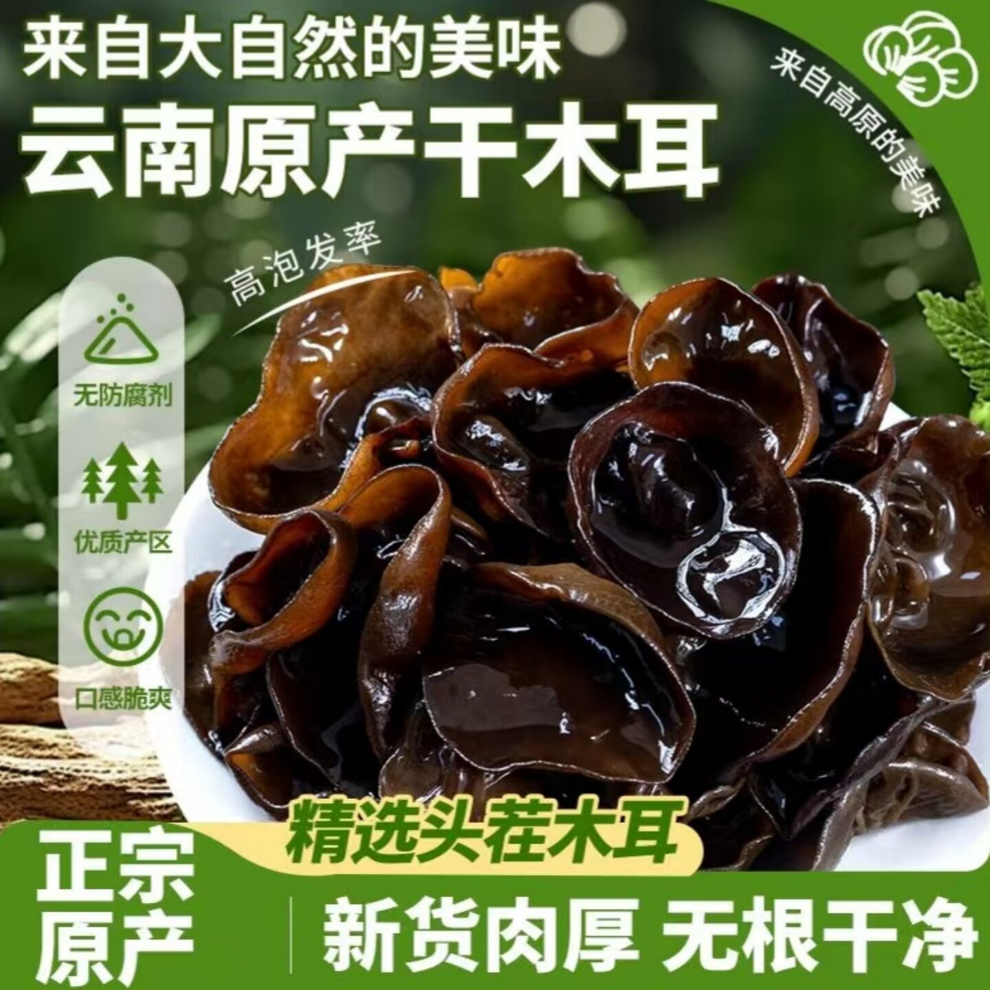 云南黑木耳头茬干货高泡发肉厚无根秋木耳椴木耳小碗耳可家用商用