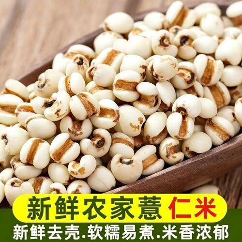 薏仁米新鲜农家薏仁米五谷杂粮粗粮可搭配赤豆红豆煮粥煲汤食材