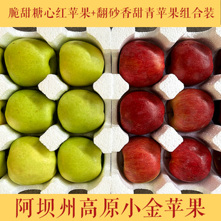 阿坝州小金苹果12枚18枚新鲜应季糖心苹果金冠青苹果大果精选组合