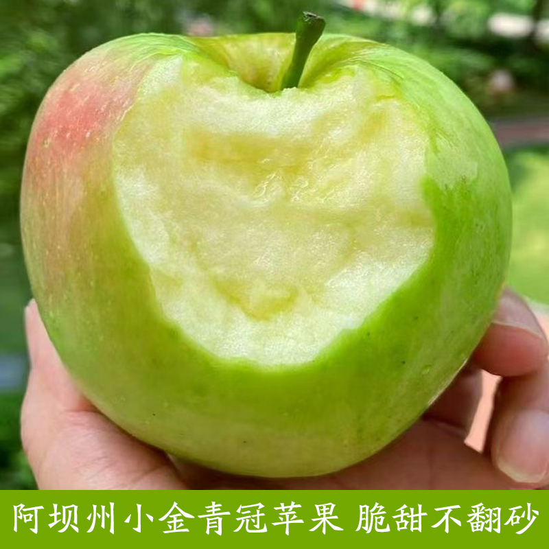 脆甜多汁小金青冠苹果不翻砂不酸