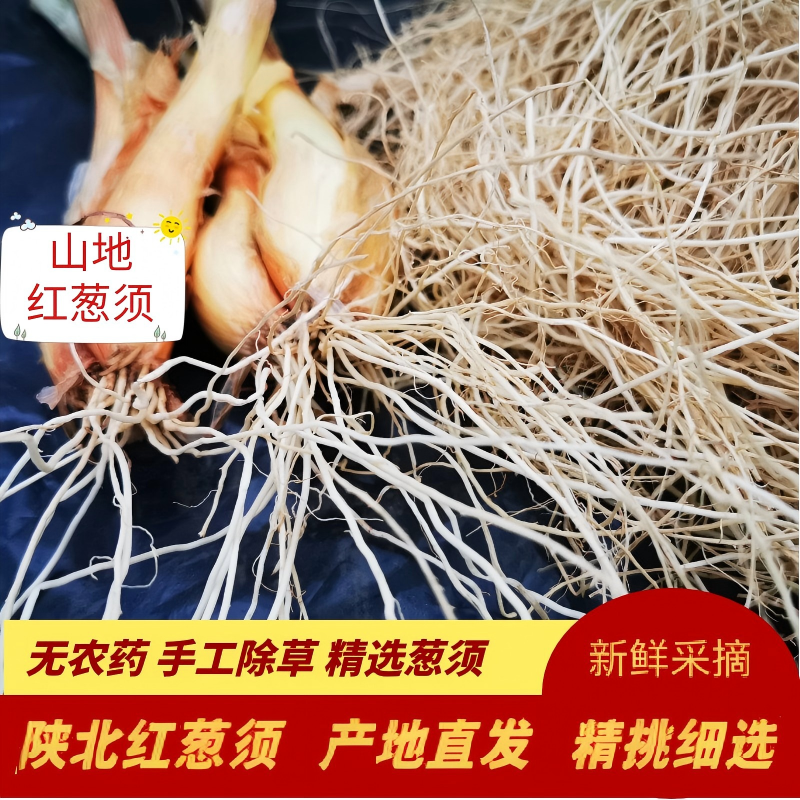 200克无硫无杂陕北红葱须新鲜葱根葱胡子 干葱须农家晾晒红葱根须