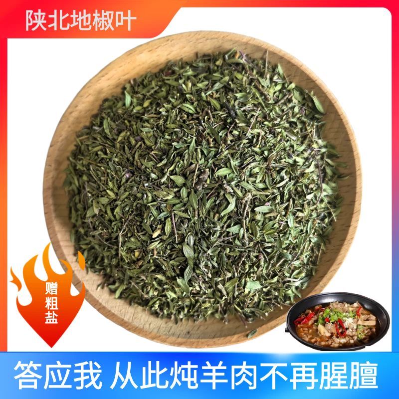 陕北地椒叶百里香香料煮炖牛羊肉去膳增香山胡椒山花椒地椒草新鲜图片