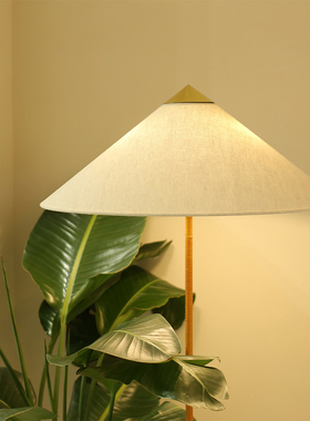 【现货】丹麦国宝级 Gubi 9602 Floor Lamp 卧室藤编中国风立灯