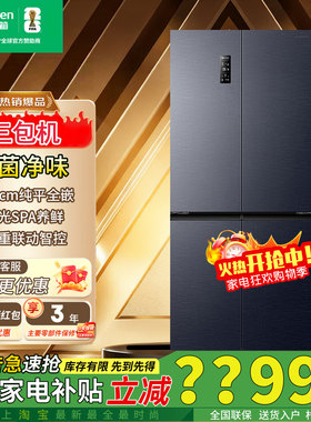 容声IDP双净503pro冰箱BCD-503WD15FPQLA十字门超薄零嵌入三包机