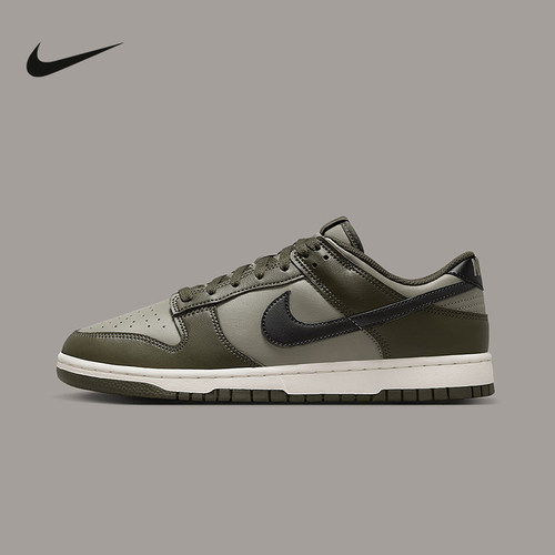 Nike耐克男鞋秋新款Dunk Low轻便低帮复古休闲运动板鞋HF5441-300