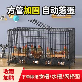 家用养鸡笼子特大号自动清粪折叠养殖笼鸡舍铁丝网兔子猫咪鸭狗笼