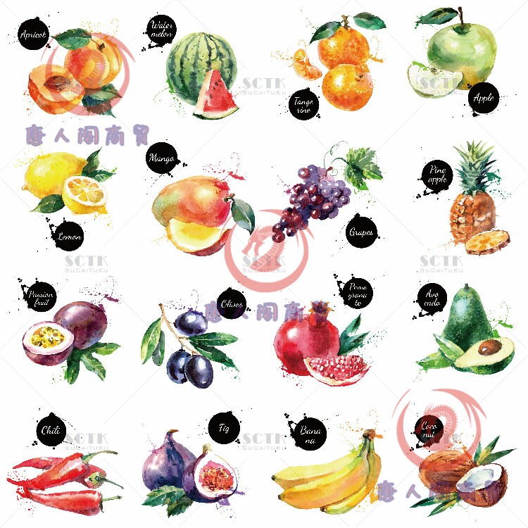 水彩画水果蔬菜插画苹果雪梨葡萄萝卜辣椒蔬果瓜类绘画AI矢量素材