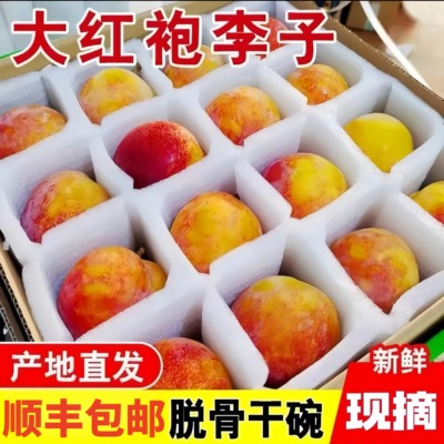顺丰包邮大红袍李子特大果当季孕妇水果黑布林恐龙蛋整箱现摘大果