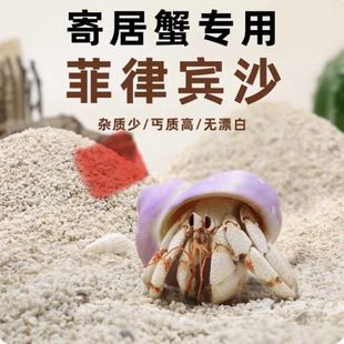 寄居蟹专用沙天然垫材珊瑚沙菲律宾沙造景原生贝壳砂三湖慈雕底砂