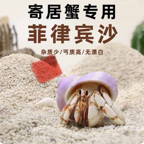 寄居蟹专用沙天然垫材珊瑚沙菲律宾沙造景原生贝壳砂三湖慈雕底砂