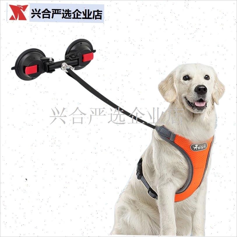 栓狗固定器狗狗洗澡固定神器室内外牵引绳N大型犬防挣脱壁挂桩吸,