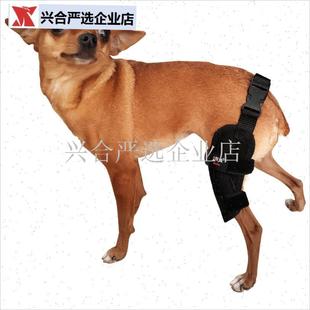 宠物狗狗后腿保护套髌骨脱位辅助B带固定膝盖十字韧带拉伤泰迪护,