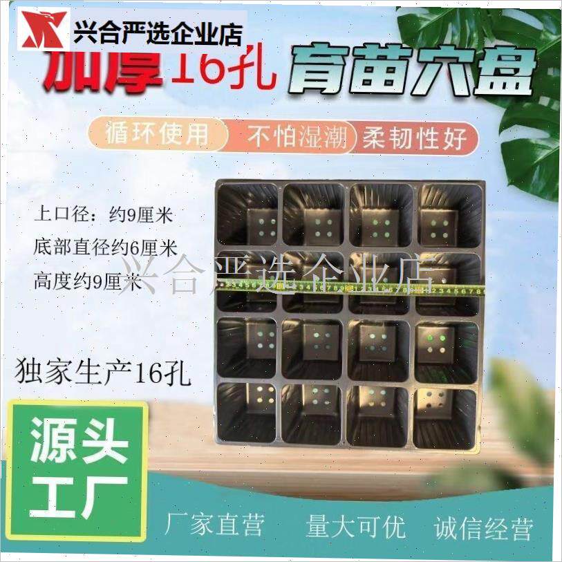 16孔孔正方形加厚育苗穴盘w辣椒F托盘西瓜苗木花卉药材扦插种植,