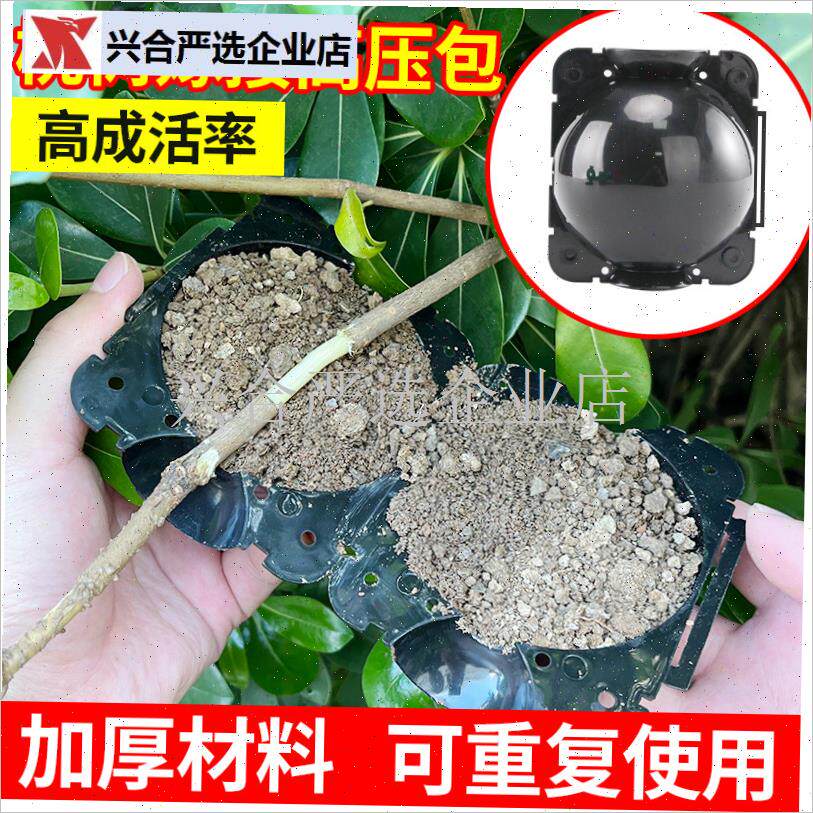 园林枣树桃树高压嫁接生根器自动扣白H色透光育苗盒多色树脂加厚,