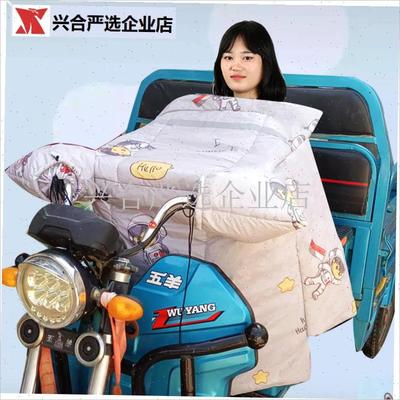 三轮摩托车挡风被三轮车冬季加绒z加厚2025新款防水电动前挡风罩,