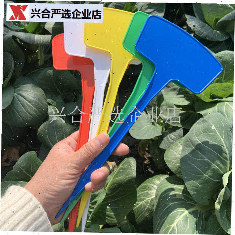 大牌面塑料花卉记号牌园艺标签植物标牌绿植标记牌Z扇面插地牌,
