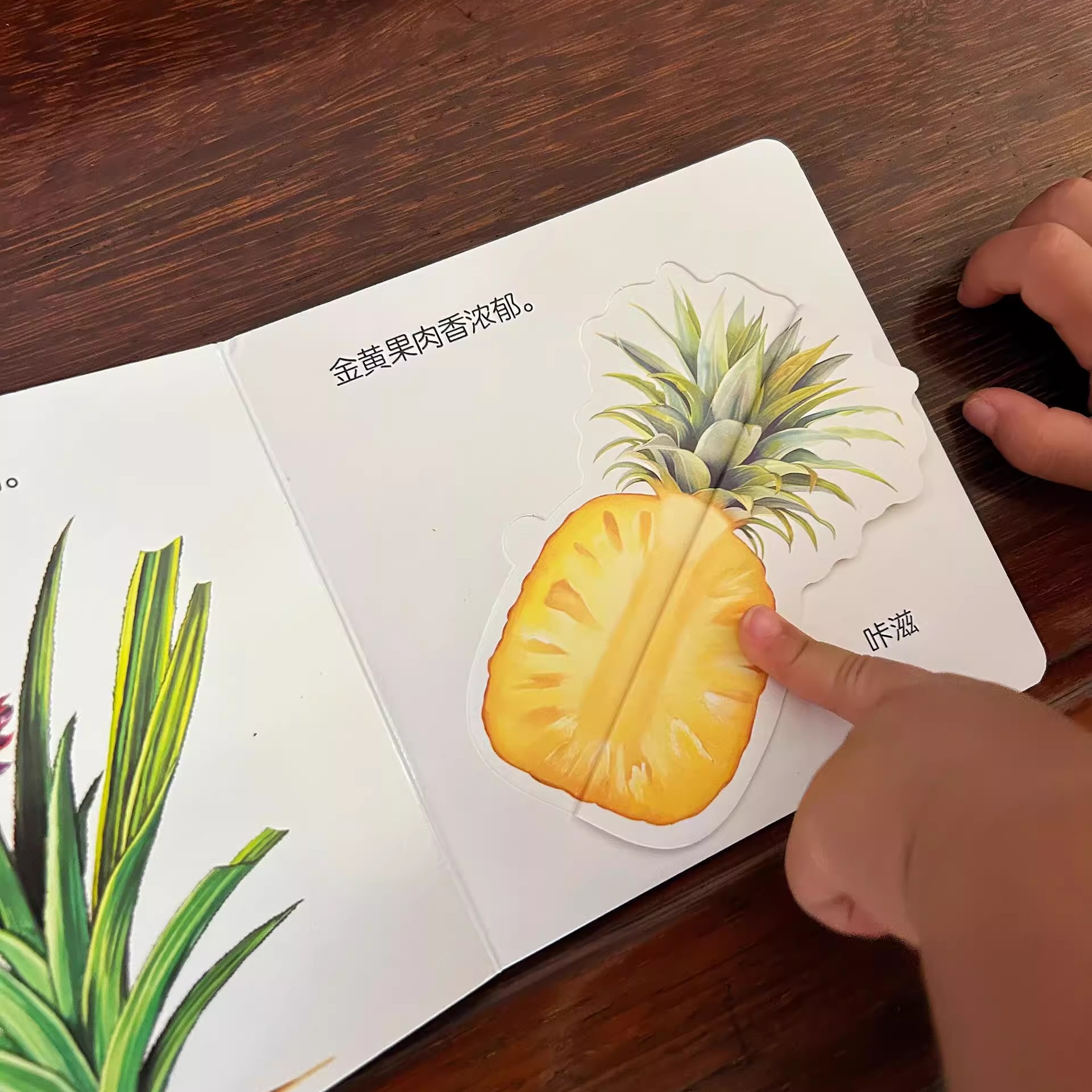 儿童启蒙卡片识字挂图早教认知卡片启蒙幼儿训练1-3岁宝宝翻翻书