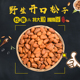 2025年东北开口松子散装 特大颗粒手剥松子干果休闲仁坚果零食孕妇