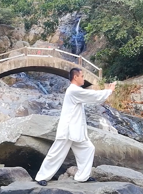 易筋经秘传练法实战养生技击导引