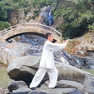 易筋经秘传练法 易骨 易筋 实战 传统武术 养生技击导引大小周天