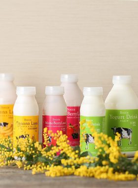 AaronHouse现货日本北海道bocca 超浓郁原味牛乳酸奶饮料瓶装200g