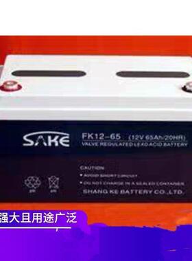 6-GFM-65 环保储能工匠型 机房UPS计算机不间断电