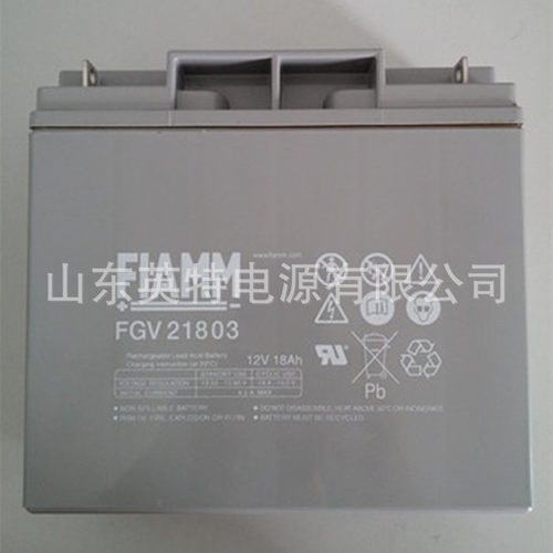 意大利非凡蓄电池FGV2180
