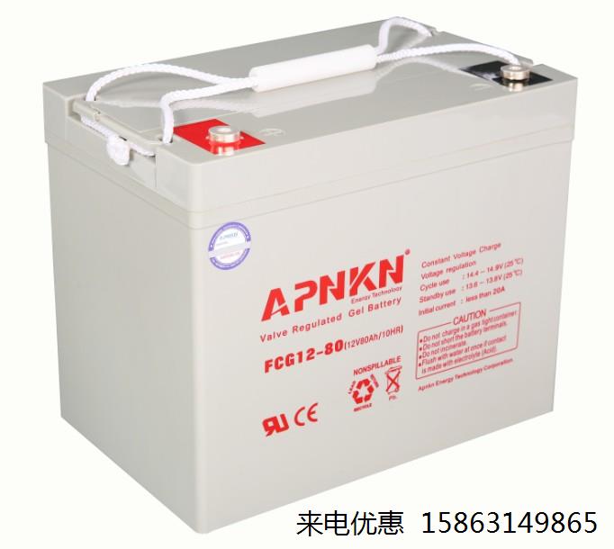 APNKN/品克蓄电池FCG12-38应急照明12V38AH储能消防主机电源