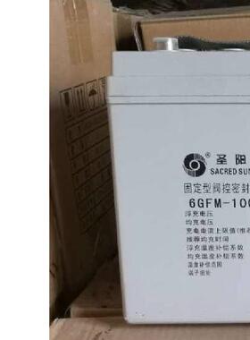 蓄电池6-EV-100 12V100Ah交通银行证券铅酸总