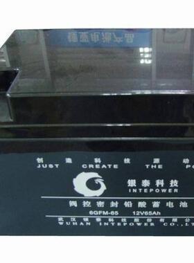 蓄电池6GFM-24消防主机门禁12V24AH/20HR应急EPS电源专用电池