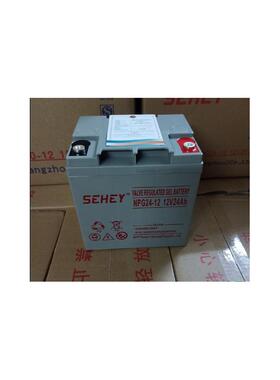 西力/SEHEY 12V24AH免维护蓄电池 UPS电源 直流屏安防门禁电瓶