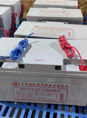 蓄电池NP12-65 绿色环保阀控密封型 工业控制系统UPS不间断电